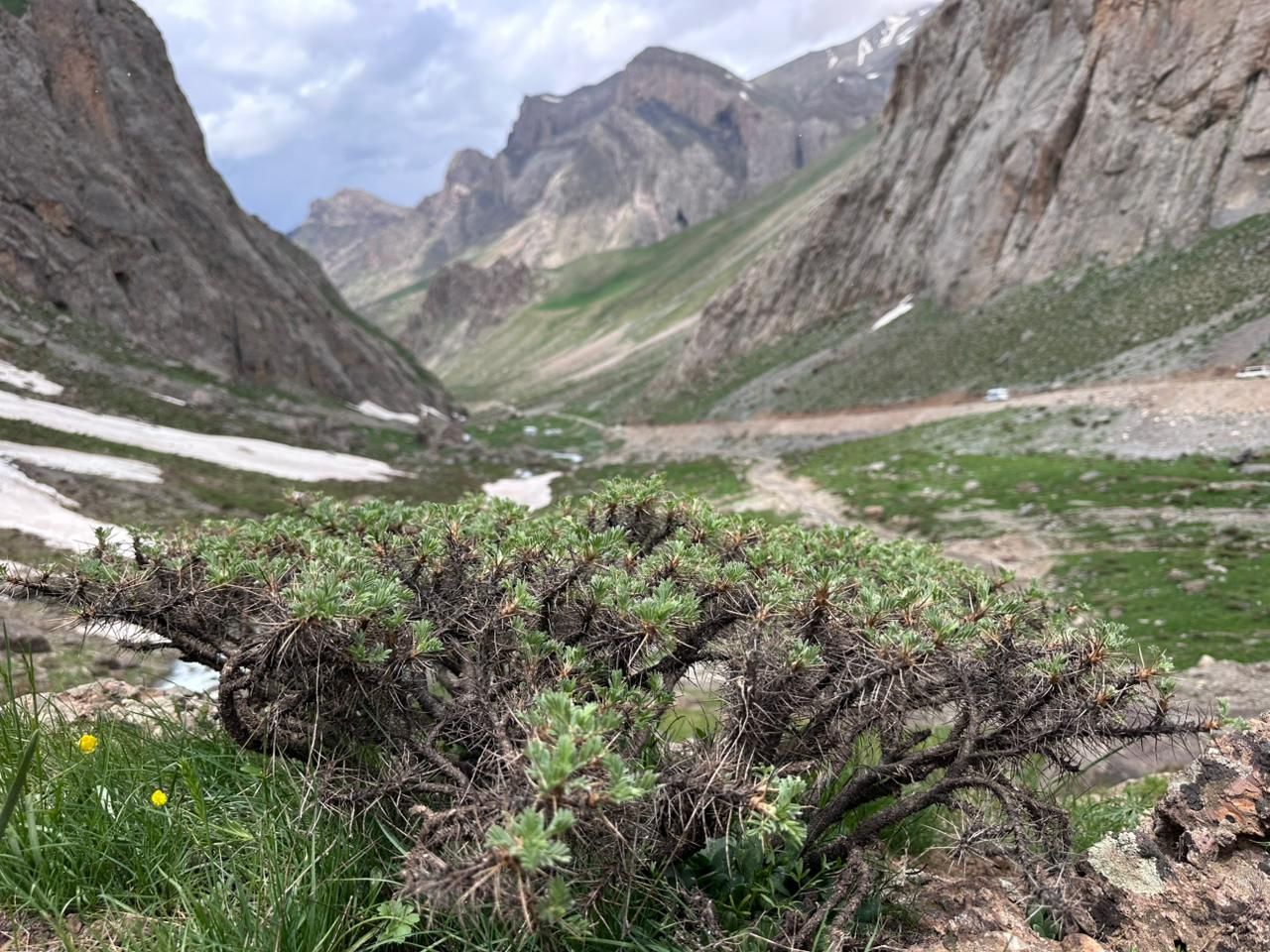 Национальный парк Cilo ve Sat Dağları, Хакарри